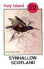 Eynhallow 1982 Sunbirds (Nectarinia mahrattensis) imperf deluxe sheet (£2 value) unmounted mint