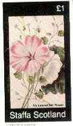 Staffa 1982 Flowers #49 (Ivy Leaved Bell Flower) imperf souvenir sheet (£1 value) unmounted mint