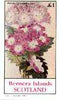 Bernera 1982 Flowers #22 (Primula) imperf souvenir sheet (£1 value) unmounted mint