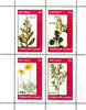 Eynhallow 1982 Flowers #28 (Mimosa, Hermannia x 2 & Othonna) perf set of 4 values unmounted mint