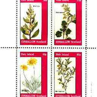 Eynhallow 1982 Flowers #28 (Mimosa, Hermannia x 2 & Othonna) perf set of 4 values unmounted mint