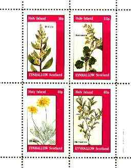 Eynhallow 1982 Flowers #28 (Mimosa, Hermannia x 2 & Othonna) perf set of 4 values unmounted mint