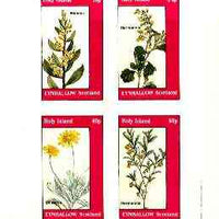 Eynhallow 1982 Flowers #28 (Mimosa, Hermannia x 2 & Othonna) imperf set of 4 values unmounted mint