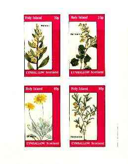 Eynhallow 1982 Flowers #28 (Mimosa, Hermannia x 2 & Othonna) imperf set of 4 values unmounted mint