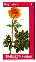 Eynhallow 1982 Flowers #28 (Lilium) imperf souvenir sheet (£1 value) unmounted mint