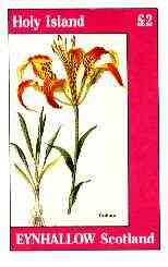 Eynhallow 1982 Flowers #28 (Trollius) imperf deluxe sheet (£2 value) unmounted mint