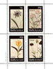 Staffa 1982 Flowers #50 (Catananche, Amaryllis, Convolvulus & Scabiosa) perf set of 4 values unmounted mint