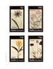 Staffa 1982 Flowers #50 (Catananche, Amaryllis, Convolvulus & Scabiosa) imperf set of 4 values unmounted mint