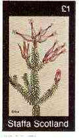 Staffa 1982 Flowers #50 (Erica) imperf,souvenir sheet (£1 value) unmounted mint