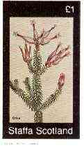 Staffa 1982 Flowers #50 (Erica) imperf,souvenir sheet (£1 value) unmounted mint