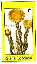 Staffa 1982 Flowers #51 (Xeranthemum) imperf souvenir sheet (£1 value) unmounted mint
