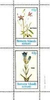 Bernera 1982 Flowers #23 (Violet & Bell Flower) perf,set of 2 values (40p & 60p) unmounted mint