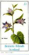 Bernera 1982 Flowers #23 (Bell Flower) imperf souvenir sheet (£1 value) unmounted mint