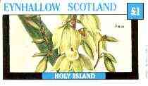 Eynhallow 1982 Flowers #29 (Yucca) imperf souvenir sheet (£1 value) unmounted mint
