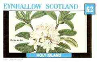 Eynhallow 1982 Flowers #29 (Rhododendron) imperf deluxe sheet (£2 value) unmounted mint