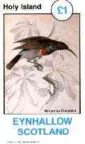 Eynhallow 1982 Sunbirds (Nectarinia chalybeia) imperf souvenir sheet (£1 value) unmounted mint