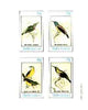 Staffa 1982 Sunbirds (Nectarinia) imperf set of 4 values unmounted mint