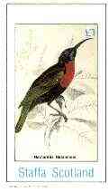 Staffa 1982 Sunbirds (Nectarinia natalensis) imperf souvenir sheet (£1 value) unmounted mint
