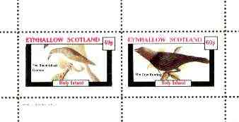Eynhallow 1982 Birds #26 (Cuckoo & Bunting) perf set of 2 values unmounted mint