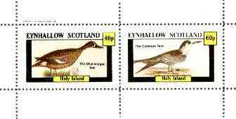 Eynhallow 1982 Birds #27 (Teal & Tern) perf set of 2 values unmounted mint