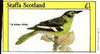 Staffa 1982 Birds #68 (Golden Oriole) imperf souvenir sheet (£1 value) unmounted mint
