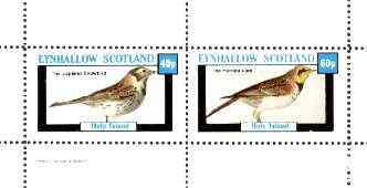 Eynhallow 1982 Birds #28 (Snowbird & Lark) perf set of 2 values unmounted mint