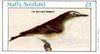 Staffa 1982 Birds #69 (Red-eyed Greenlet) imperf souvenir sheet (£1 value) unmounted mint