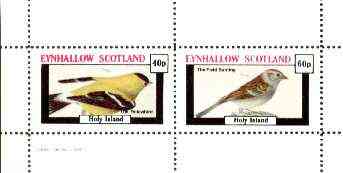 Eynhallow 1982 Birds #29 (Yellowbird & Field Bunting) perf set of 2 values unmounted mint