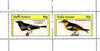 Staffa 1982 Birds #70 (Blue & Cape May Warblers) perf set of 2 values unmounted mint