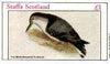 Staffa 1982 Birds #71 (White-breasted Nuthatch) imperf souvenir sheet (£1 value) unmounted mint