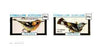 Eynhallow 1982 Birds #32 (Blackburnian & Spotted Warblers) imperf set of 2 values unmounted mint