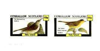Eynhallow 1982 Birds #33 (Worm-Eating & Black-Capped Warblers) imperf set of 2 values unmounted mint