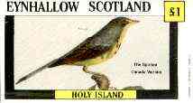 Eynhallow 1982 Birds #33 (Spotted Canada Warbler) imperf souvenir sheet (£1 value) unmounted mint