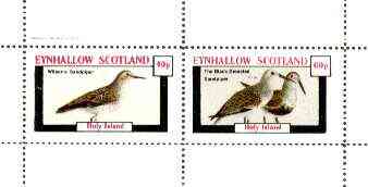 Eynhallow 1982 Birds #34 (Sandpipers) perf set of 2 values unmounted mint