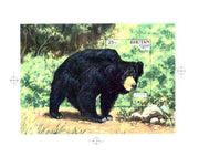 Bhutan 1990 Endangered Wildlife - Intermediate stage computer-generated artwork (as submitted for approval) for 25nu m/sheet (Sloth Bear) 200 x 140 mm similar to issued design but lettering different, ex Government archives and probably unique (as Sc 941)