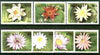 Kampuchea 1989 Water Lilies complete set of 7 unmounted mint, SG 985-91*