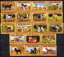 Match Box Labels - complete set of 18 Dog Breeds (Finnish made for Finlays)