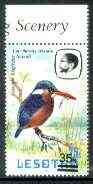 Lesotho 1986-88 Malachite Kingfisher Provisional 35s on 25s (1982 issue) unmounted mint SG 720*