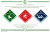 Venezuela 1962 First National Games (Postage) imperf m/sheet containing 3 diamond shaped stamps, SG MS 1743