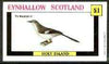 Eynhallow 1982 Birds #36 (Mockingbird) imperf souvenir sheet (£1 value) unmounted mint