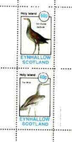 Eynhallow 1982 Birds #37 (Gallinule & Willet) perf set of 2 values unmounted mint