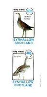 Eynhallow 1982 Birds #37 (Gallinule & Willet) imperf set of 2 values unmounted mint