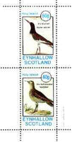 Eynhallow 1982 Birds #38 (Oyster Catcher & Sandpiper) perf set of 2 values unmounted mint