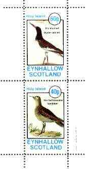 Eynhallow 1982 Birds #38 (Oyster Catcher & Sandpiper) perf set of 2 values unmounted mint