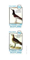 Eynhallow 1982 Birds #38 (Oyster Catcher & Sandpiper) imperf set of 2 values unmounted mint