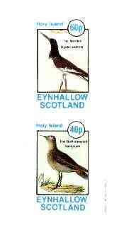 Eynhallow 1982 Birds #38 (Oyster Catcher & Sandpiper) imperf set of 2 values unmounted mint