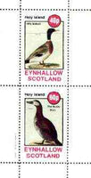 Eynhallow 1982 Birds #39 (Mallard & Ruddy Duck) perf set of 2 values unmounted mint