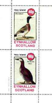 Eynhallow 1982 Birds #39 (Mallard & Ruddy Duck) perf set of 2 values unmounted mint