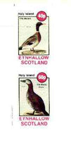 Eynhallow 1982 Birds #39 (Mallard & Ruddy Duck) imperf set of 2 values unmounted mint