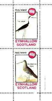 Eynhallow 1982 Birds #40 (Lawyer Bird & Snipe) perf set of 2 values unmounted mint
